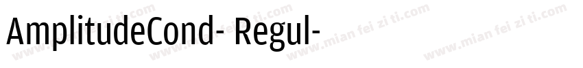 AmplitudeCond- Regul字体转换
